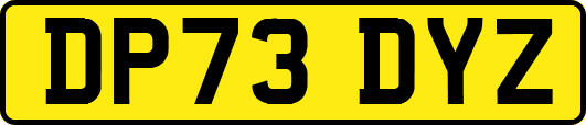 DP73DYZ