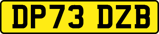 DP73DZB
