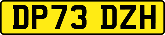 DP73DZH