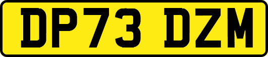 DP73DZM