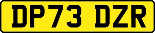 DP73DZR