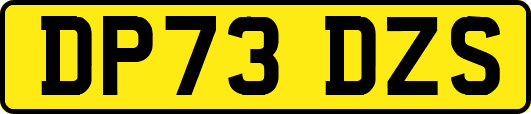 DP73DZS