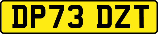 DP73DZT