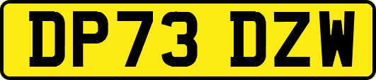 DP73DZW