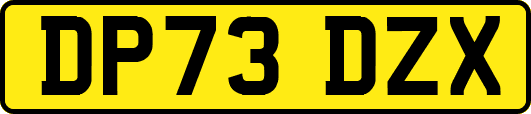 DP73DZX