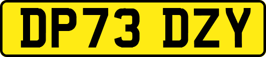 DP73DZY
