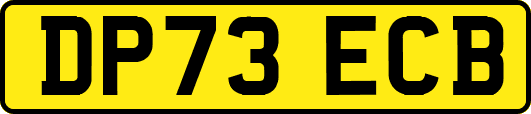 DP73ECB
