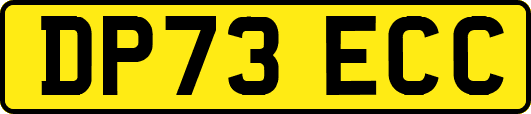 DP73ECC