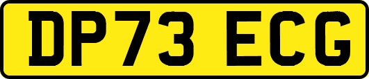 DP73ECG