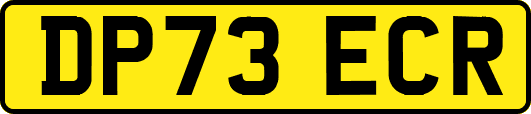 DP73ECR