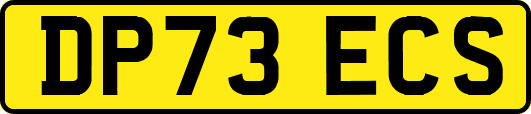 DP73ECS