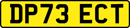 DP73ECT