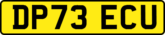 DP73ECU