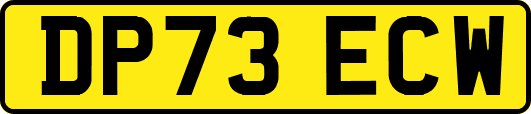 DP73ECW
