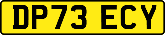 DP73ECY