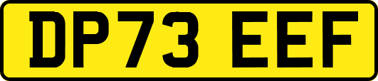 DP73EEF