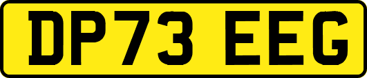 DP73EEG