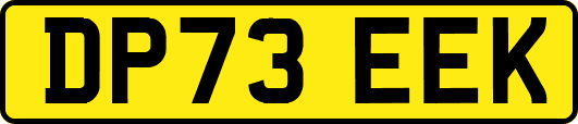 DP73EEK