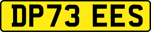 DP73EES