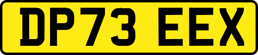 DP73EEX