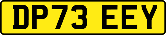 DP73EEY