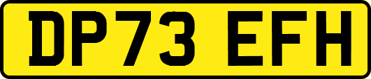 DP73EFH