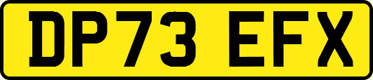 DP73EFX