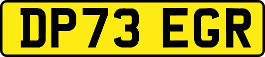 DP73EGR