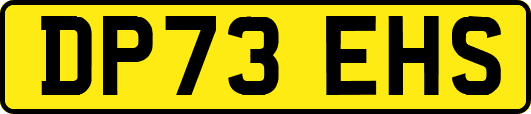 DP73EHS
