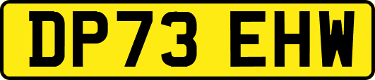 DP73EHW