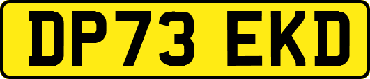 DP73EKD