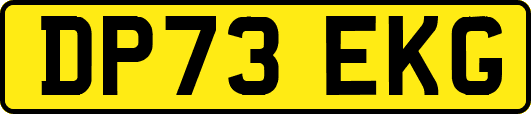 DP73EKG