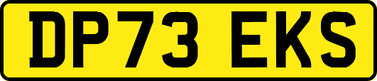 DP73EKS