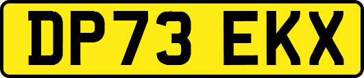 DP73EKX