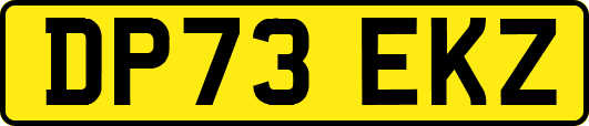 DP73EKZ