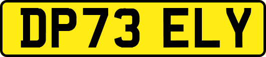 DP73ELY
