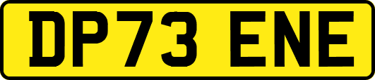 DP73ENE