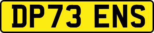 DP73ENS