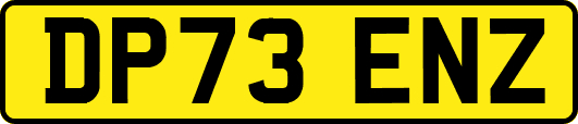 DP73ENZ