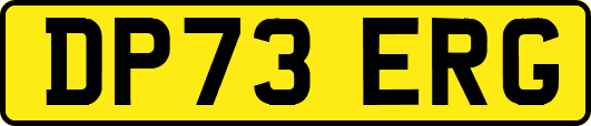 DP73ERG
