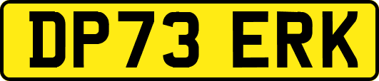 DP73ERK