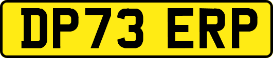 DP73ERP