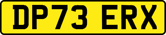 DP73ERX