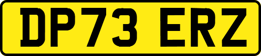 DP73ERZ