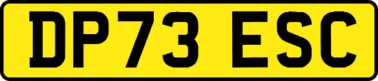 DP73ESC
