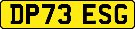 DP73ESG