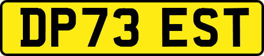 DP73EST