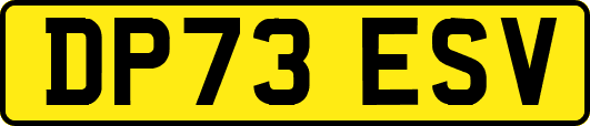 DP73ESV