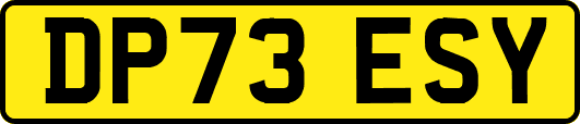 DP73ESY
