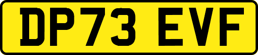DP73EVF